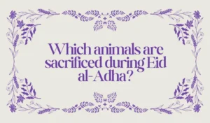 Animals Are Sacrificed on Eid al-Adha