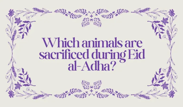 Animals Are Sacrificed on Eid al-Adha