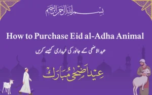 How to Purchase Eid al-Adha Animal (1)