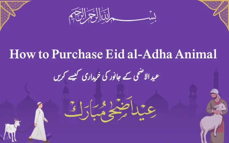 How to Purchase Eid al-Adha Animal (1)