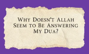 Why doesn’t allah seem to be answering my dua