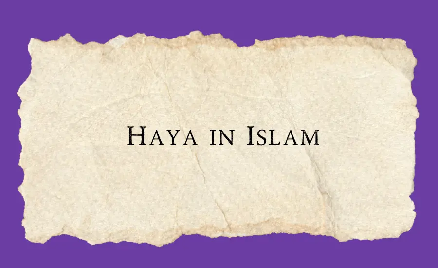 Haya