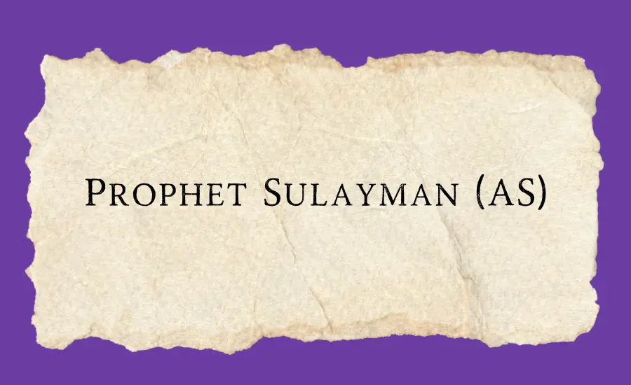 Sulayman